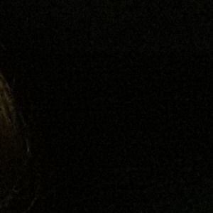 Meet your Posher, Antony